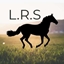 Lillydale Ranch logo