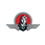 Vecihi logo