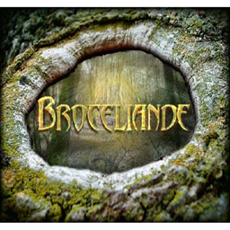 broceliande project image