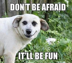 Be Afraid, Be Very Afraid