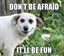 Be Afraid, Be Very Afraid logo