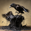 Spilling Crows logo