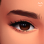 Whispy Brows logo