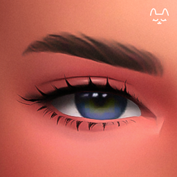 Eyebrow Set NO1