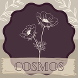 The Seeds Of Cosmos project image