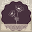 The Seeds Of Cosmos logo