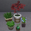 Amys Garden Plants logo