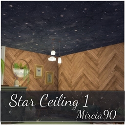 Star Ceiling #1