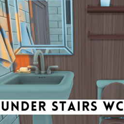 Under Stairs WC