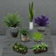 Eco Lifestyle Large Plants logo
