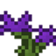 IrisCraft logo