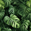 Lush and Plush Monstera Carpet 1 [Simply_Simlish] logo