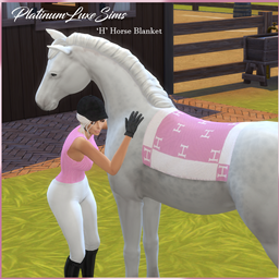 H Horse Blanket