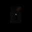 The Stalker And More logo