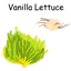 Lettuce+ logo