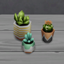 Tiny Botanical Plants logo