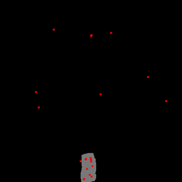 pymPTech logo