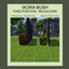 Ixora Bush - Placement Fixed and Recolours logo