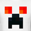 HAM SMP logo