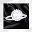 Tale of Love Ring 13 logo