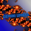 Gemini Umbra logo