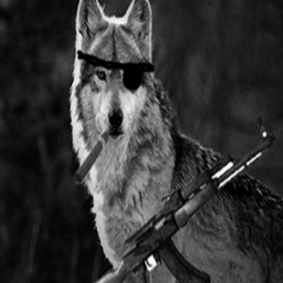 BoomWolves project image