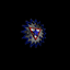 Darkstar Alliance logo