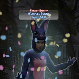 NPC Flower Bunny Career