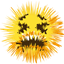 AWF Season 2 logo