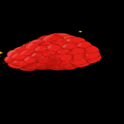 Catastrophe Inbound logo