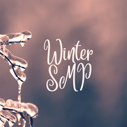 Winter SMP ❄️🍂 logo