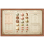 Macaron Menu Board #1 Samtuse963 logo