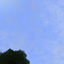 Mossy's Divinity logo