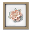 Succulents Woven Decor Frame #6 Samtuse963 logo