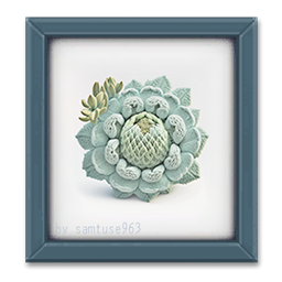 Succulents Woven Decor Frame #8 Samtuse963 logo