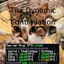Tick Dynamic Continuation logo
