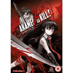 Akame Ga Slash project image