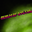 realm of sycthe logo