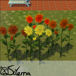Sunny Sunflowers
