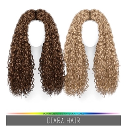 Simpliciaty's Diara Hair logo