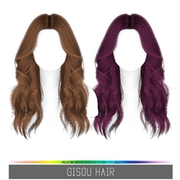 Simpliciaty's Gisou Hair