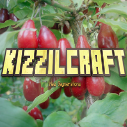 KizzilCraft: New Gaynerations project image