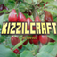 KizzilCraft: New Gaynerations logo