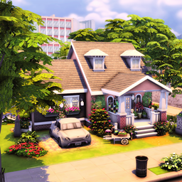 Single Girl House NO CC