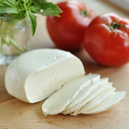 Mozzarella's Menagerie