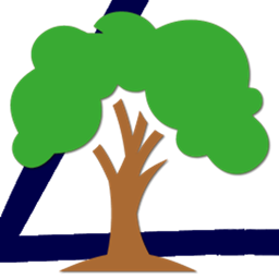 Ancient Trees L project image