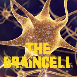 Braincell SMP project image