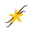 Baunilha+  logo