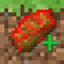 LivingFoods+ logo
