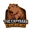 Shared Media - Capybara logo